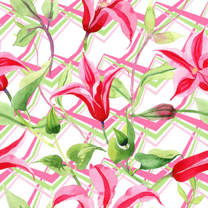 红线莲。花卉植物花。野春叶野花图案