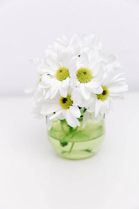 花瓶里有白色的春天的花朵。最小白色背景