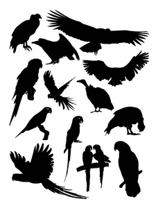 秃鹰和鹦鹉的剪影。良好的使用符号, 标志, 网页图标, 吉祥物, 标志, 或任何你想要的设计