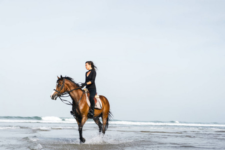 年轻女子马术骑马马在波浪水中