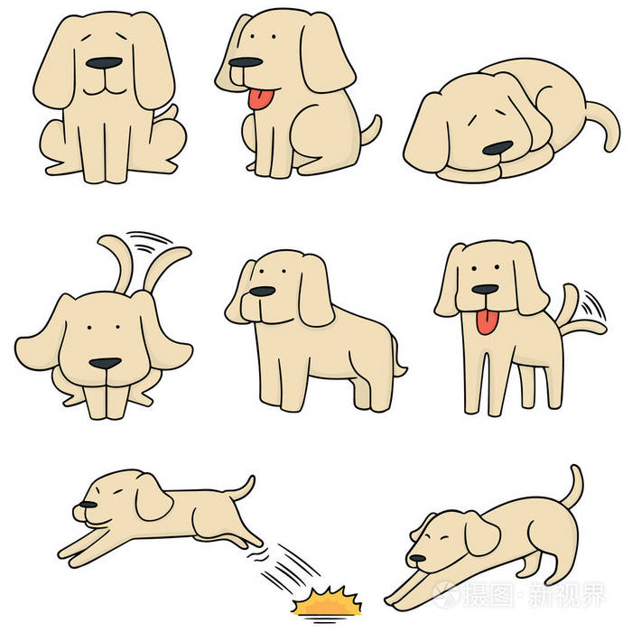 向量集的狗,拉布拉多犬