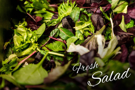 新鲜沙拉文本与混合蔬菜生菜芝麻 mesclun 纸浆关闭健康食品餐