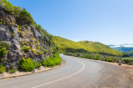 绿色的夏天山区道路