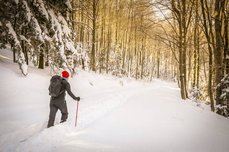 徒步旅行者在一座雪山上漫步