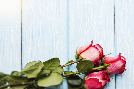 浪漫的背景，与木桌上的红玫瑰