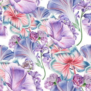 明亮的无缝图案与花卉。兰花.佩妮.水彩插图。手绘