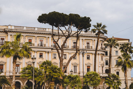 意大利罗马的棕榈树和古建筑