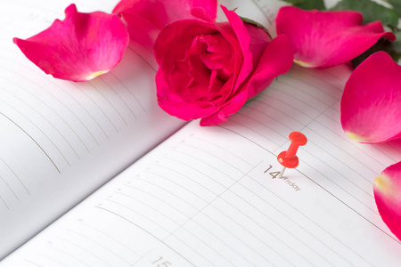 日历情人节粉红色的别针和红玫瑰日历 noteb