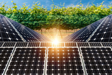 照片拼贴的太阳能电池板的作物背景可持续资源的概念
