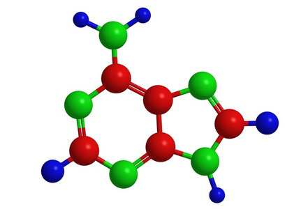 腺嘌呤分子的结构