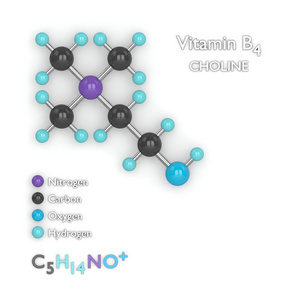 3d. 维生素 B4 的分子模型和公式的绘制