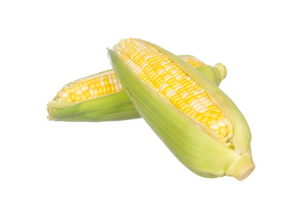 两种颜色上白色孤立的玉米