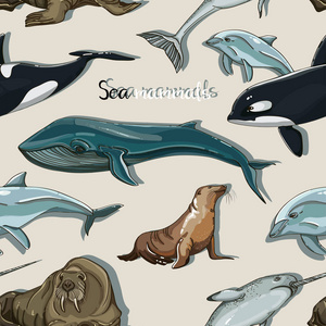 海洋哺乳动物动物收藏图标模式