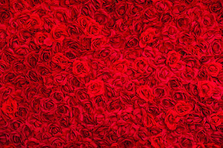地毯上的玫瑰背景
