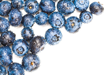 天然新鲜蓝莓特写