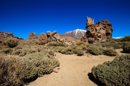 美丽的特内里费岛火山埃泰