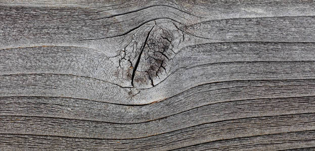 灰色木材纹理。抽象背景