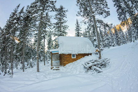 有雪的冬季森林小木屋房子小木屋