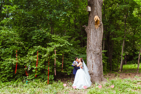 新娘和新郎在婚礼上的一座公园