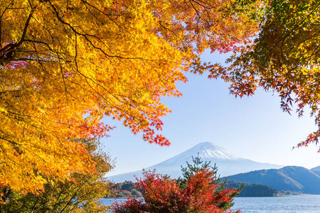 从湖河口湖的秋天景色富士山