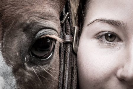 女孩和马的眼睛