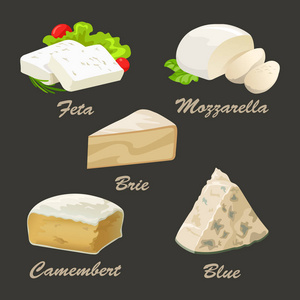 不同种类的白奶酪的集。现实的矢量图和蓝色，法国布里乳酪 卡门贝干酪 羊乳酪和意大利干酪。豆腐集合用于标志设计 广告奶酪或餐