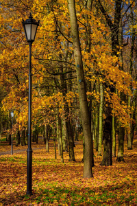 俄罗斯, 列宁格勒地区, Gatchina, Gatchina 公园