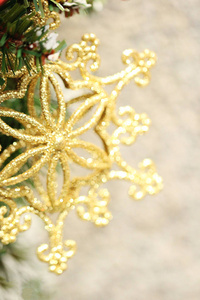 圣诞节明星装饰特写在树上和空空间