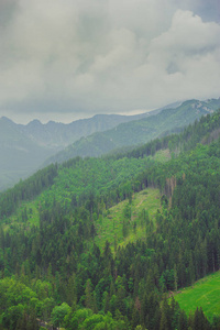 从徒步旅行的小径看 Tatra 山脉。波兰