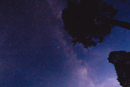 山上有银河和一些树的夜景