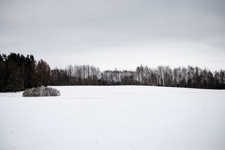 冬季的乡村田野