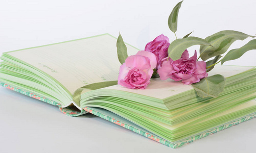 普罗旺斯风格粉彩彩色笔记本日记和花