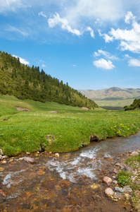 山，山，小山。哈萨克斯坦。田北俊山。总成高原