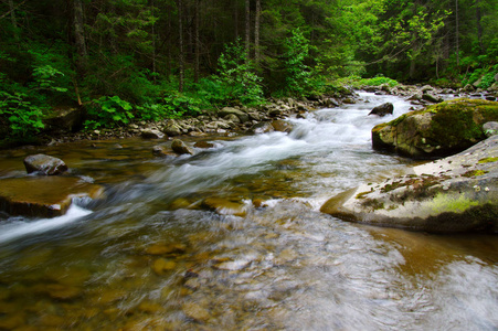 山区河流在绿色森林