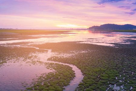 秀丽日落口气在小水方式在小绿色玻璃, 自然风景背景