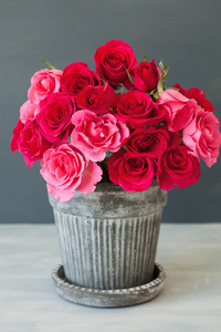 美丽的红玫瑰鲜花花束插在花瓶里