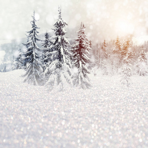 冬季景观与雪树和雪花