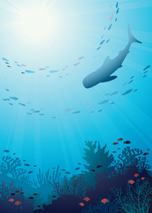 珊瑚礁和鲸鲨。水下的插图