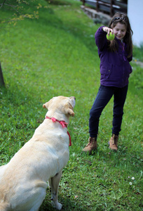 可爱的年轻女孩玩球和她的拉布拉多狗