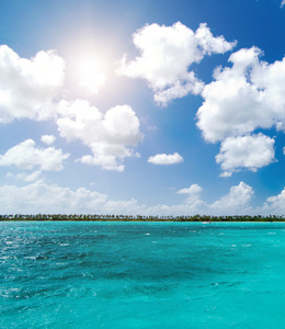 海滩和热带海