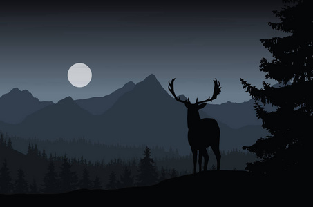 夜的鹿在黑暗的天空下森林和山的风景