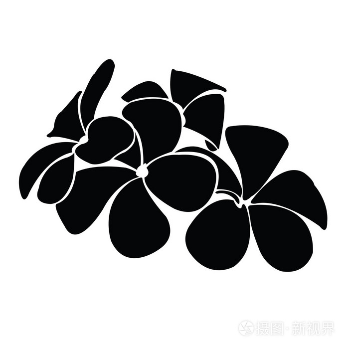 设计矢量的素馨花剪影