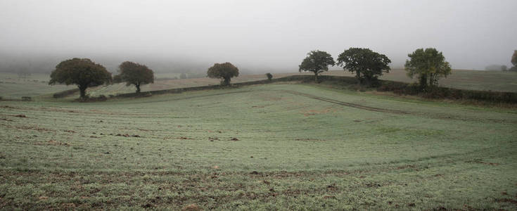 在英国的乡村景观雾雾的秋天早晨