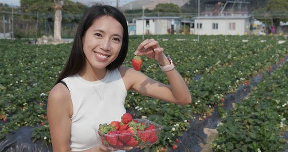 在田里拿草莓的女人