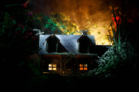 梦幻装饰的照片。小美丽的房子在草与光。在森林的老房子晚上与月亮。选择性聚焦
