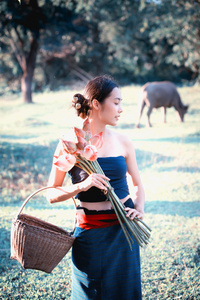 泰国古代年轻女性的水牛在农村