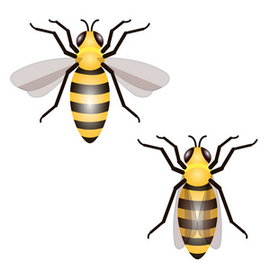 蜜蜂.昆虫的程式化形象