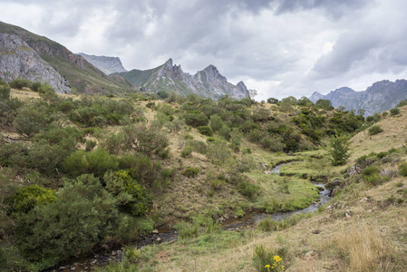 这条河里约德尔  拉戈索米耶多自然保护区的意见