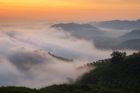 令人惊叹大自然雾日出在清晨的时光都通过自然山移动