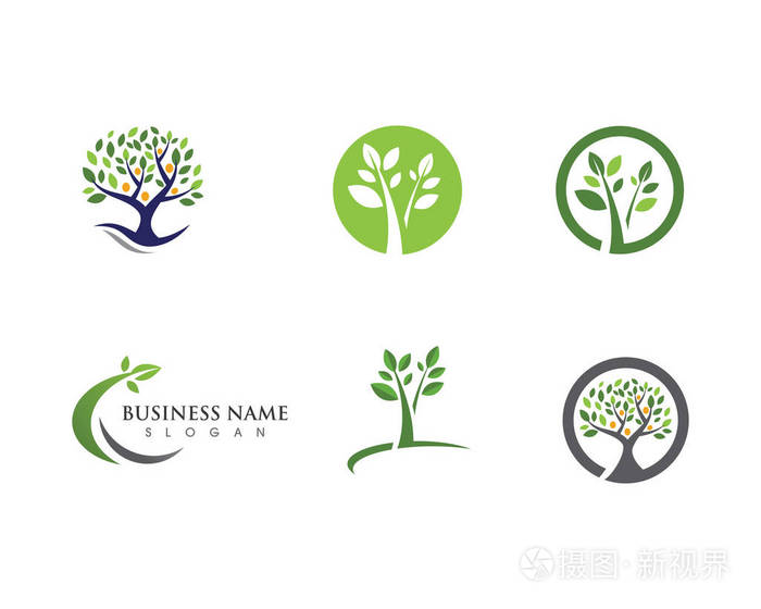 家庭树符号图标标志